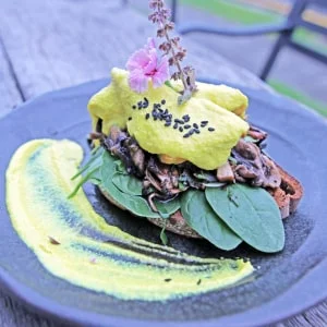 vegan-beny 1-min vegan-beny 1-min
